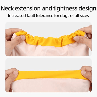 Spring Summer Reflective Raincoat - PawPlaza