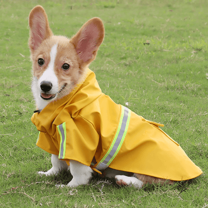 Spring Summer Reflective Raincoat - PawPlaza