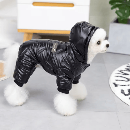Stardust Full - Body Cotton Puffer Jacket - PawPlaza