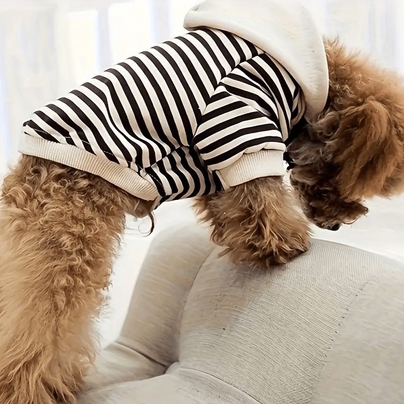 Stripe Hooded Sweater - PawPlaza