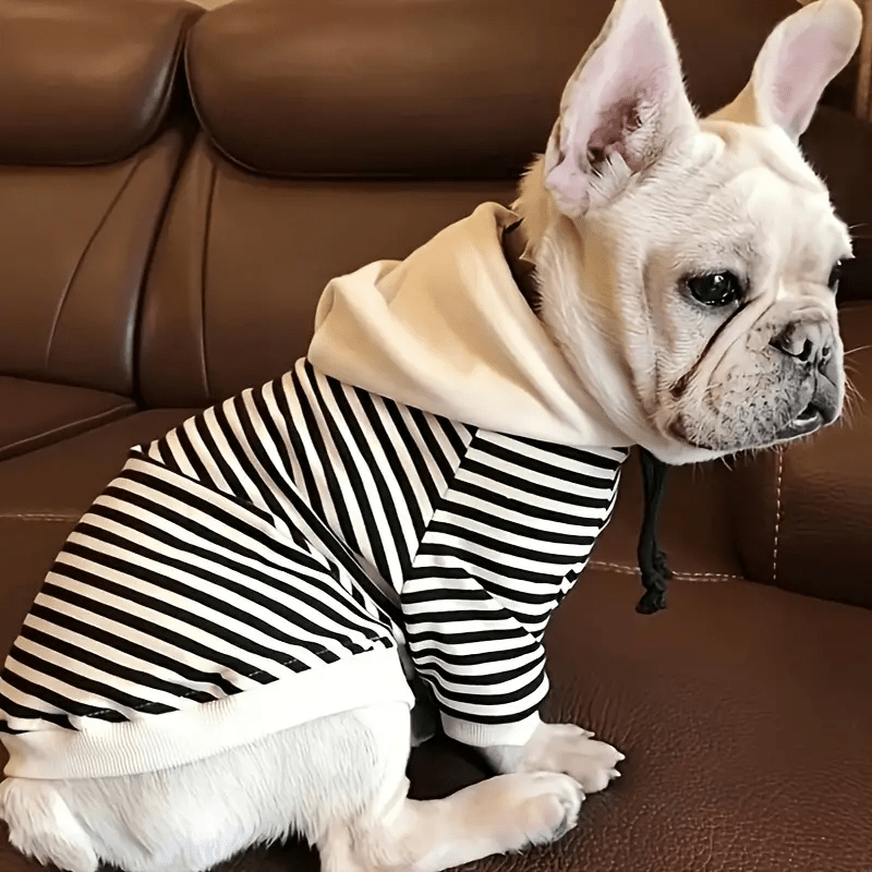 Stripe Hooded Sweater - PawPlaza