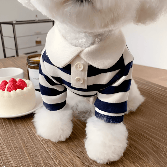 Striped Collar Shirt - PawPlaza