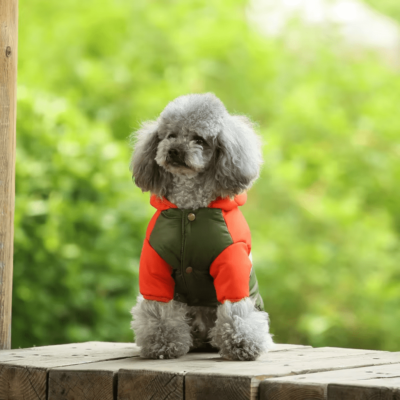 Sugar Pop Cotton - Padded Puffer Jacket - PawPlaza