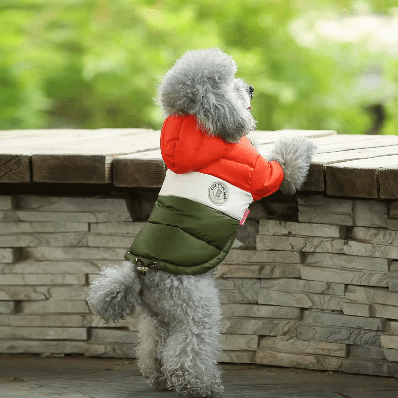 Sugar Pop Cotton - Padded Puffer Jacket - PawPlaza