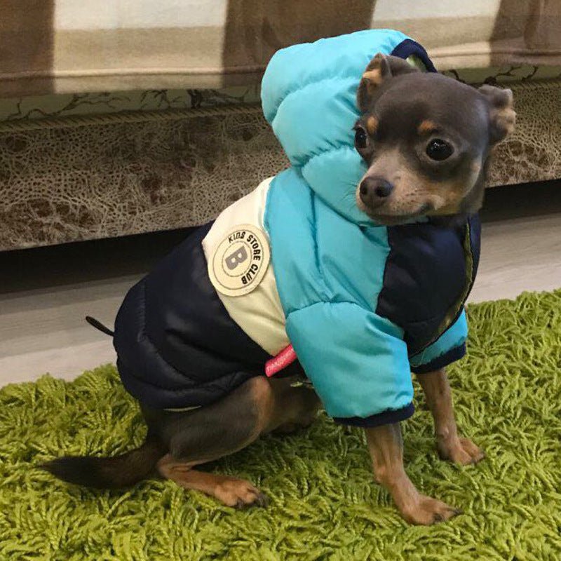 Sugar Pop Cotton - Padded Puffer Jacket - PawPlaza
