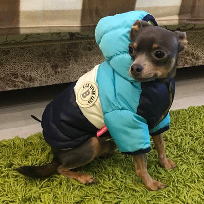 Sugar Pop Cotton - Padded Puffer Jacket - PawPlaza