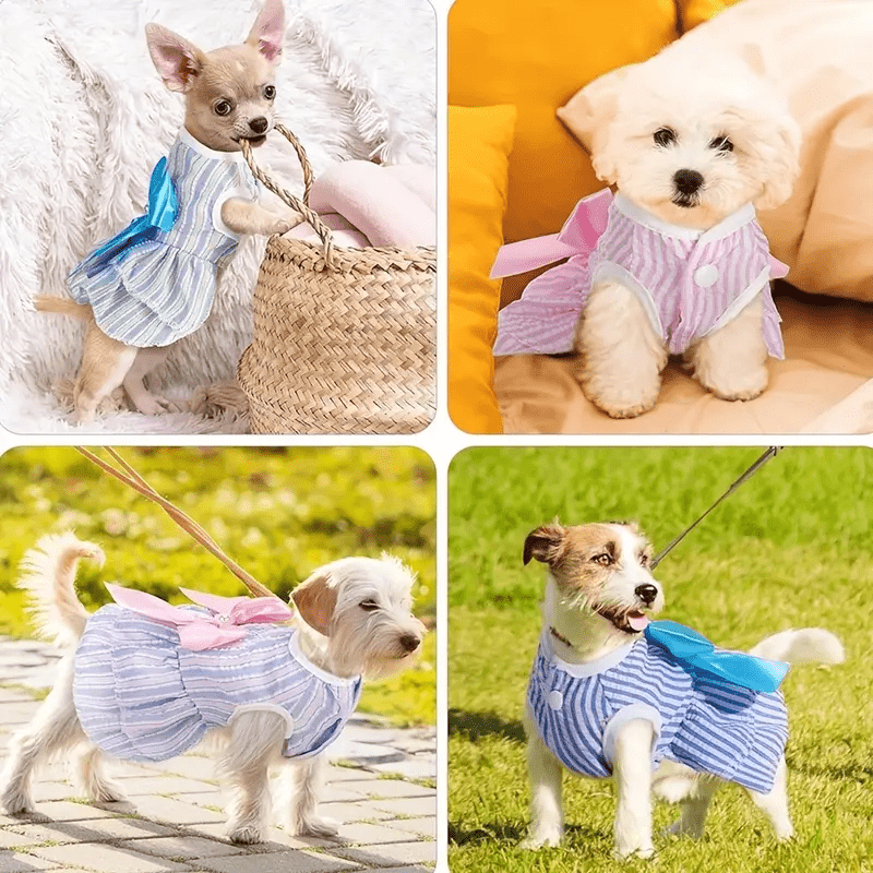 Sugarpaw Sunday Dress - PawPlaza