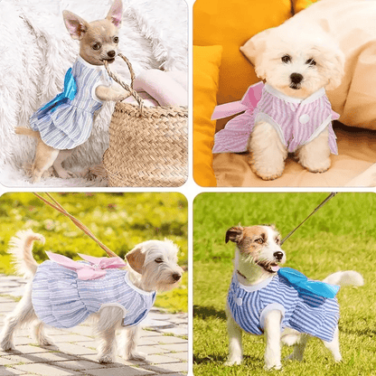 Sugarpaw Sunday Dress - PawPlaza