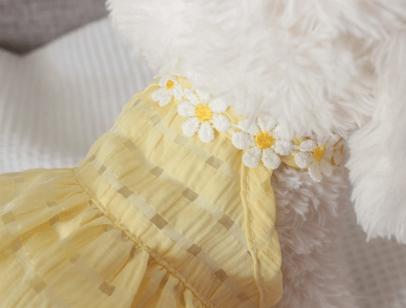 Summer Daisy Dress - PawPlaza