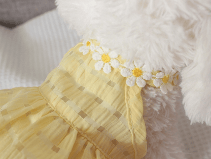 Summer Daisy Dress - PawPlaza