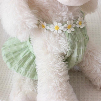 Summer Daisy Dress - PawPlaza