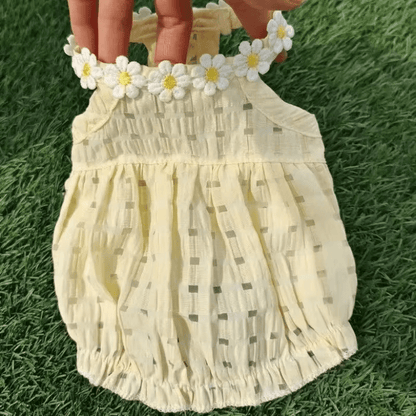 Summer Daisy Dress - PawPlaza