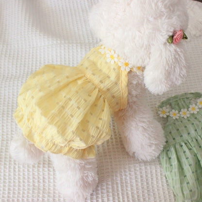 Summer Daisy Dress - PawPlaza