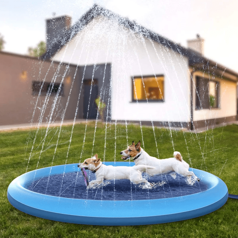Summer Dog Pool Fountain - PawPlaza