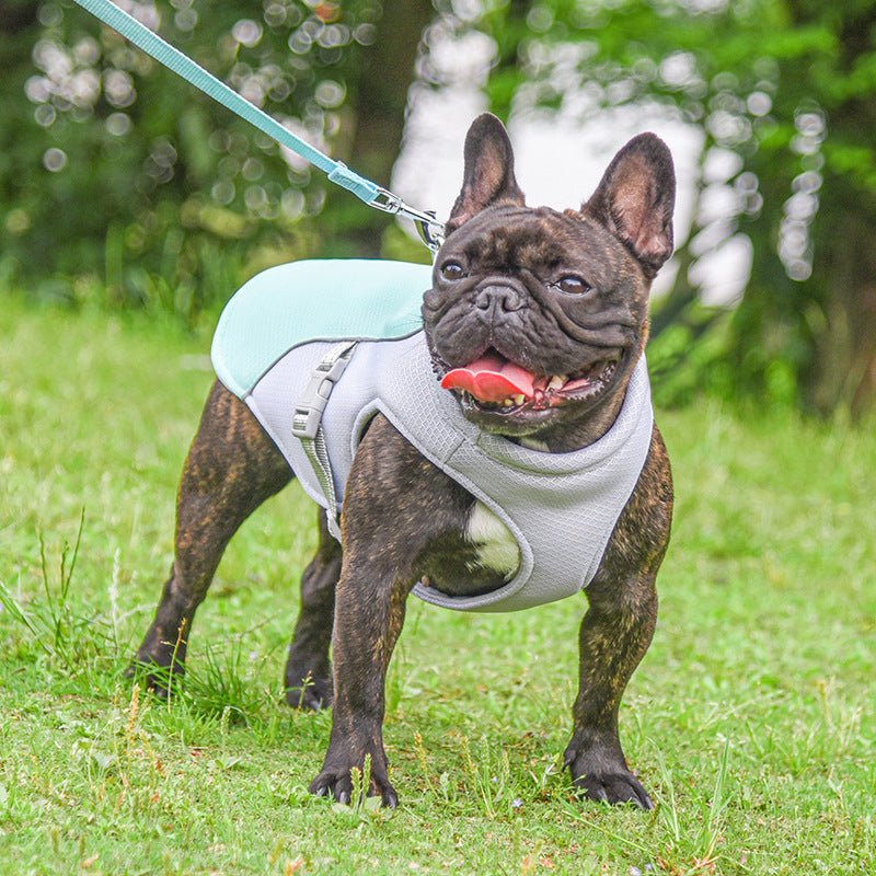 Summer Water Cooling Harness Vest - PawPlaza