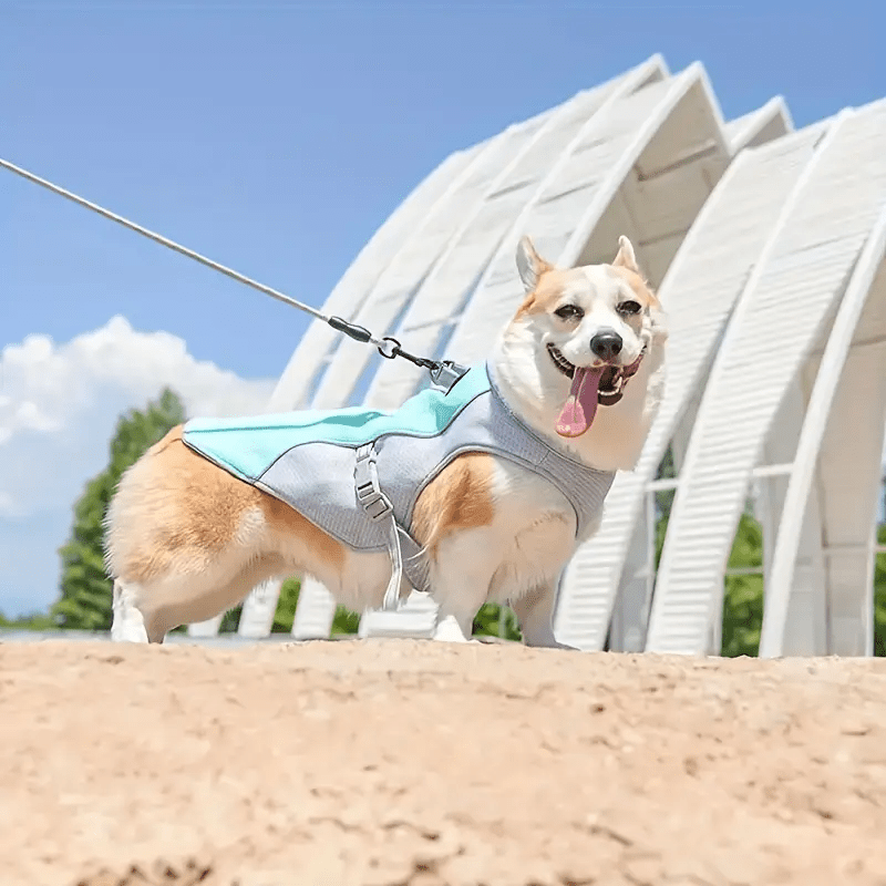 Summer Water Cooling Harness Vest - PawPlaza