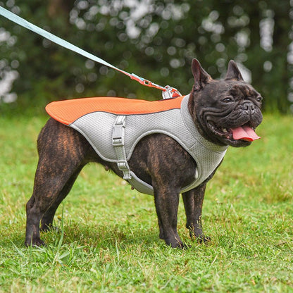 Summer Water Cooling Harness Vest - PawPlaza