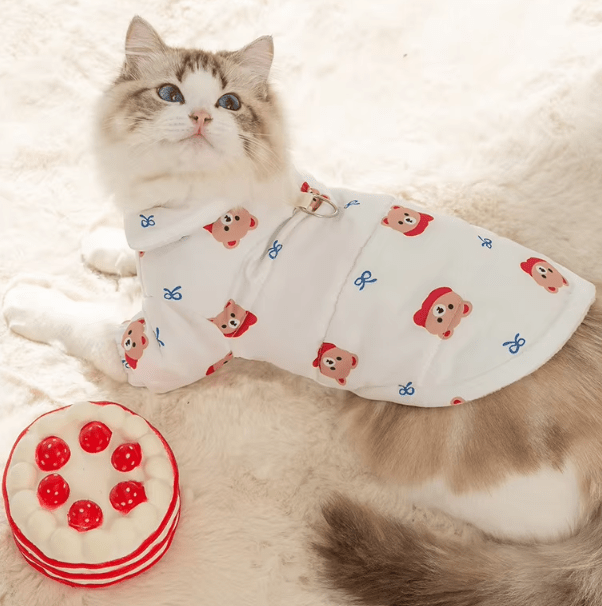 Teddy Latte Winter Puffer - PawPlaza