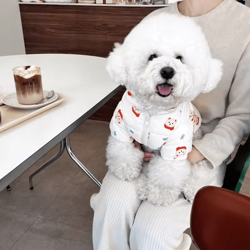 Teddy Latte Winter Puffer - PawPlaza