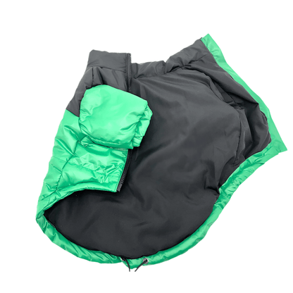 The Dog Face - Winter Puffer Jacket - PawPlaza