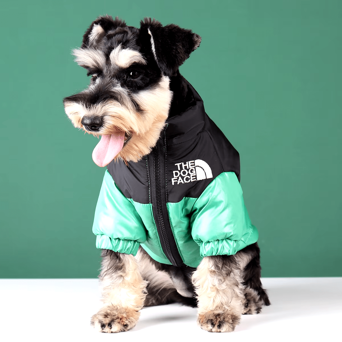 The Dog Face - Winter Puffer Jacket - PawPlaza