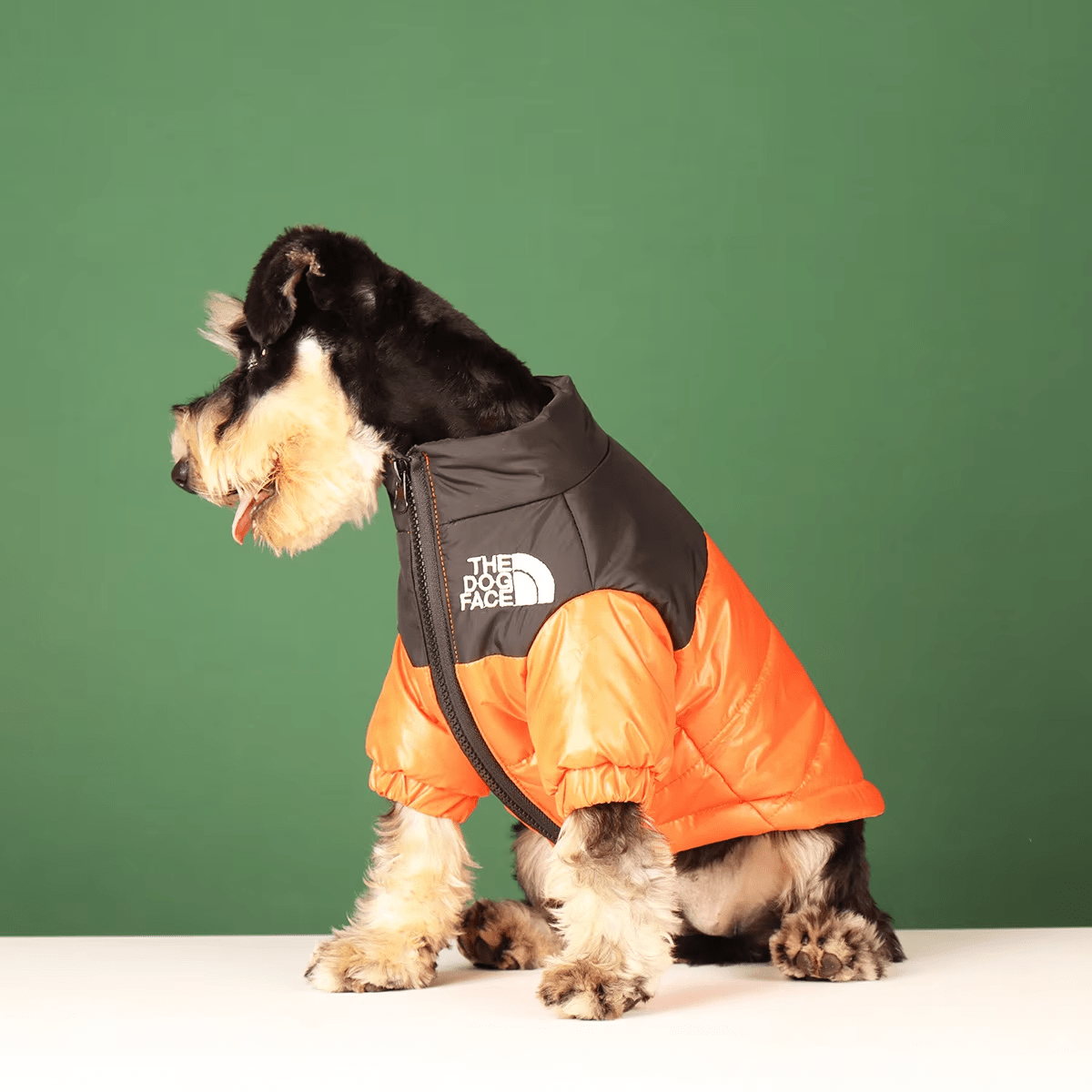 The Dog Face - Winter Puffer Jacket - PawPlaza