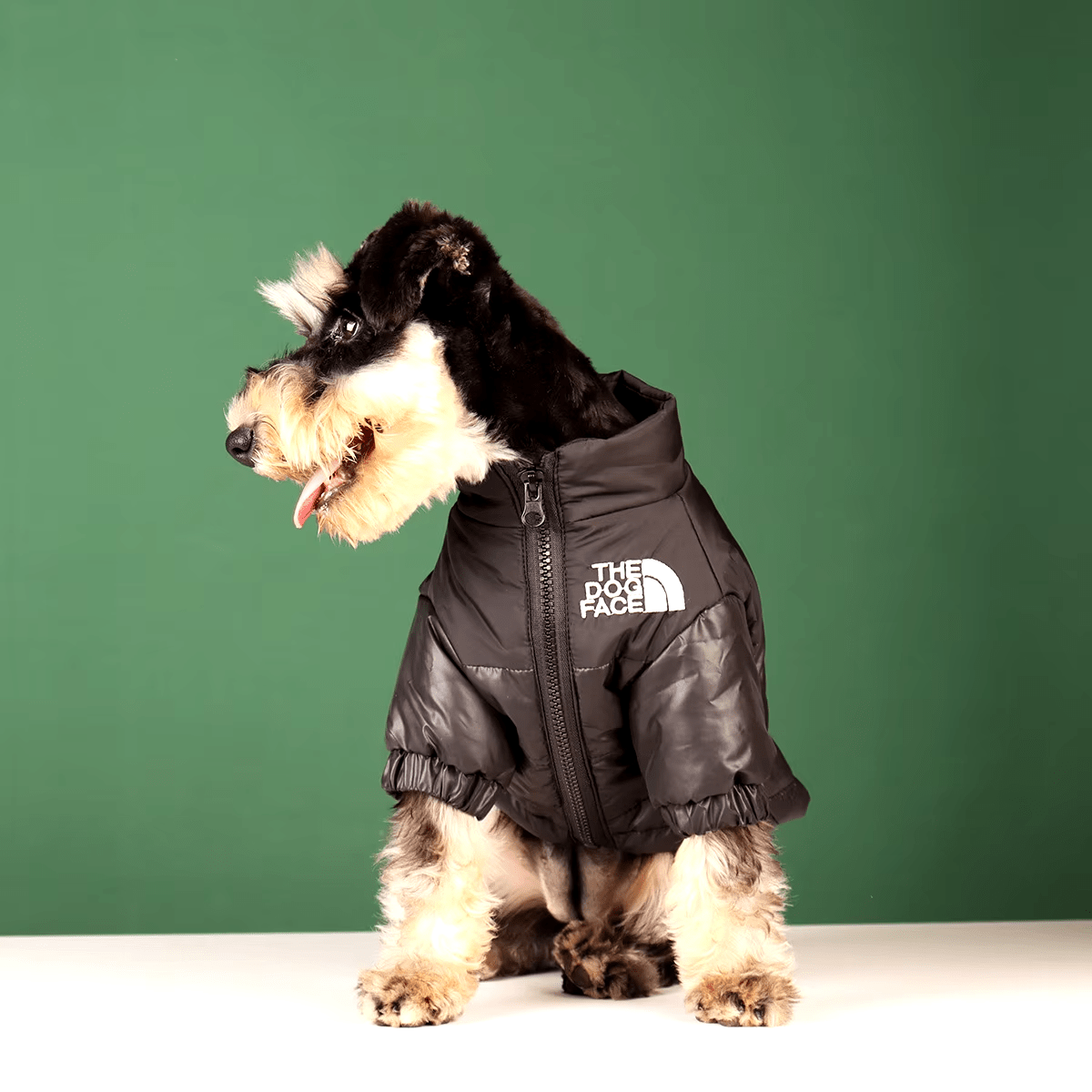 The Dog Face - Winter Puffer Jacket - PawPlaza