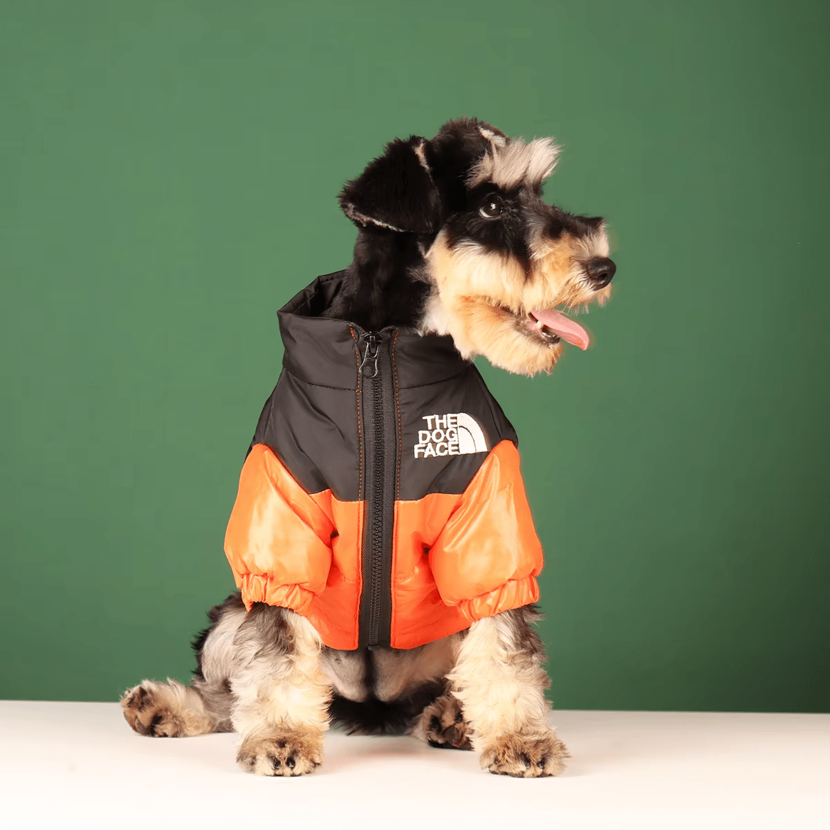 The Dog Face - Winter Puffer Jacket - PawPlaza