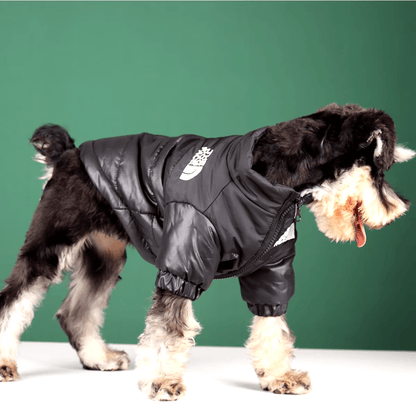 The Dog Face - Winter Puffer Jacket - PawPlaza