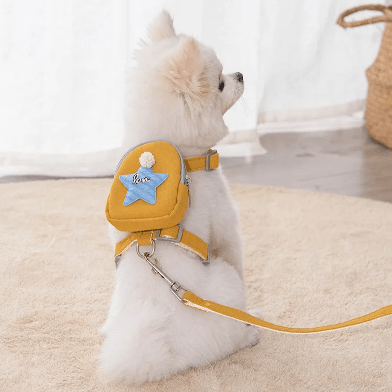 Tiny Star Backpack Harness - PawPlaza