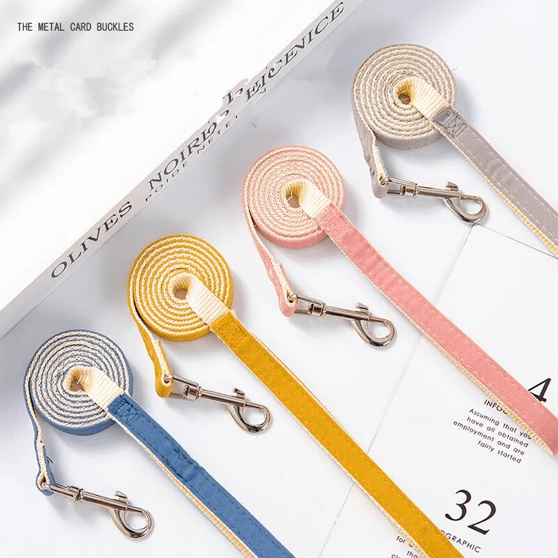 Tiny Star Backpack Harness - PawPlaza