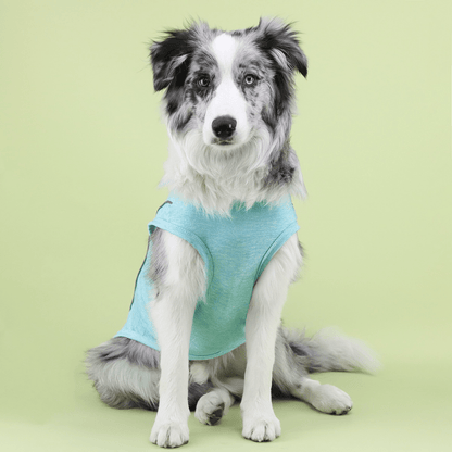 UV - Protection Quick Dry Sport Shirt - PawPlaza