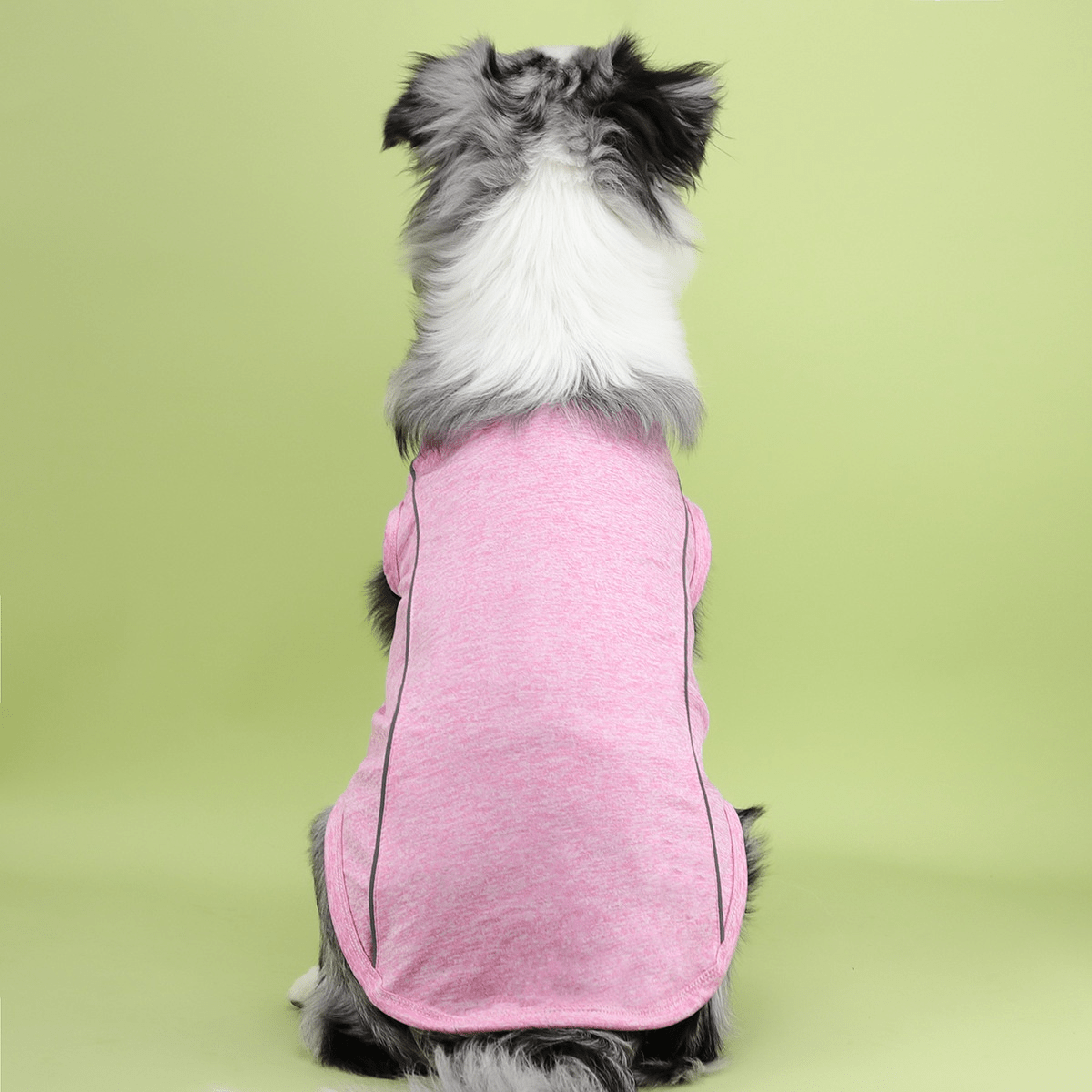 UV - Protection Quick Dry Sport Shirt - PawPlaza