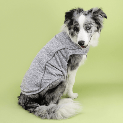 UV - Protection Quick Dry Sport Shirt - PawPlaza
