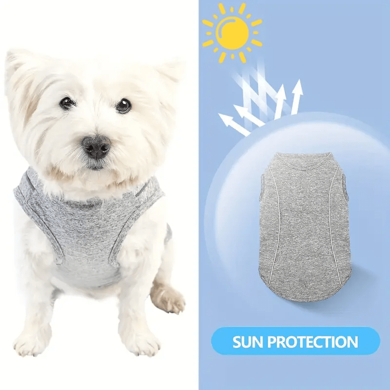 UV - Protection Quick Dry Sport Shirt - PawPlaza