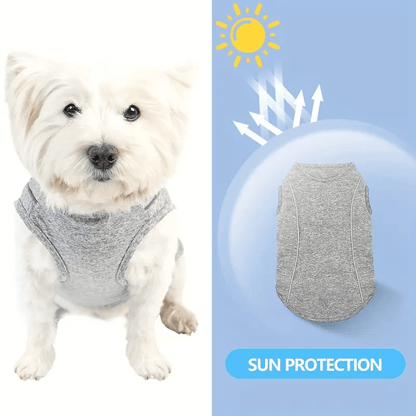 UV - Protection Quick Dry Sport Shirt - PawPlaza