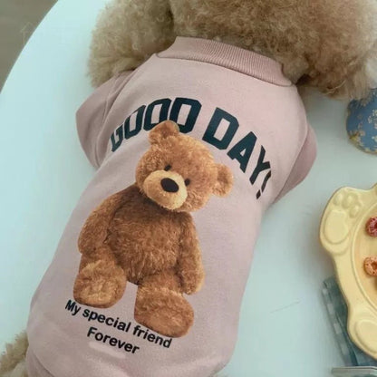 Vintage Teddy Bear Sweatshirt - PawPlaza