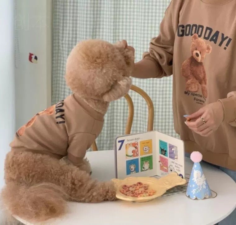Vintage Teddy Bear Sweatshirt - PawPlaza