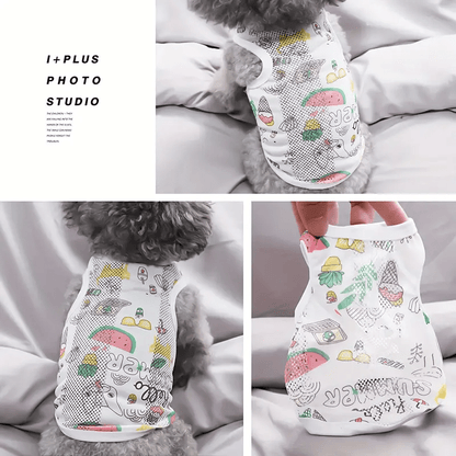 Watermelon Candy Pop - PawPlaza