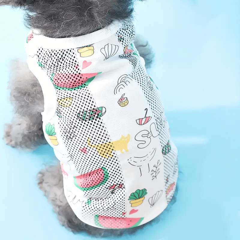 Watermelon Candy Pop - PawPlaza