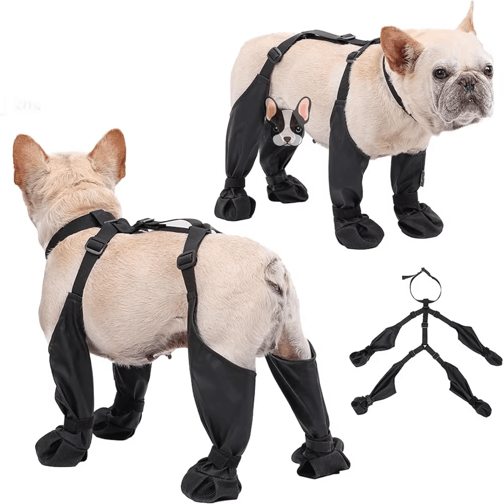 Waterproof Dog Harness Boots - PawPlaza
