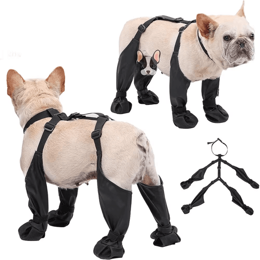 Waterproof Dog Harness Boots - PawPlaza