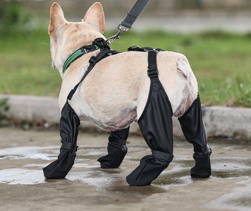 Waterproof Dog Harness Boots - PawPlaza