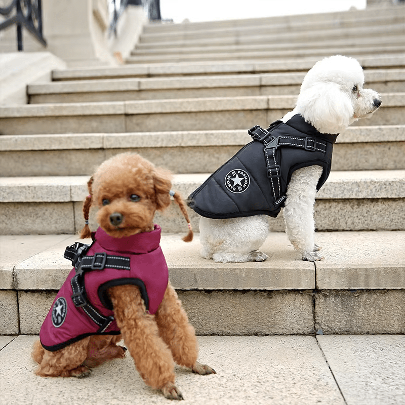 Waterproof Winter Harness Jacket - PawPlaza