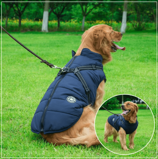 Waterproof Winter Harness Jacket - PawPlaza