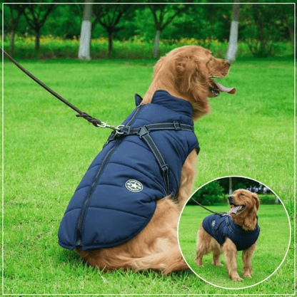 Waterproof Winter Harness Jacket - PawPlaza