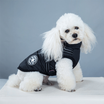 Waterproof Winter Harness Jacket - PawPlaza