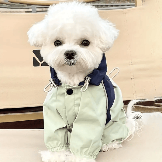 WeatherShield Pet Raincoat Windbreaker - PawPlaza