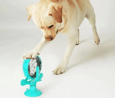 Windmill Treat Dispenser Toy - PawPlaza