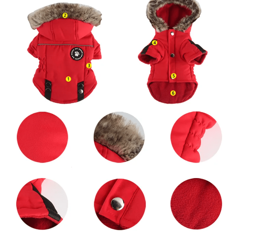 Winter Utility Jackets - PawPlaza